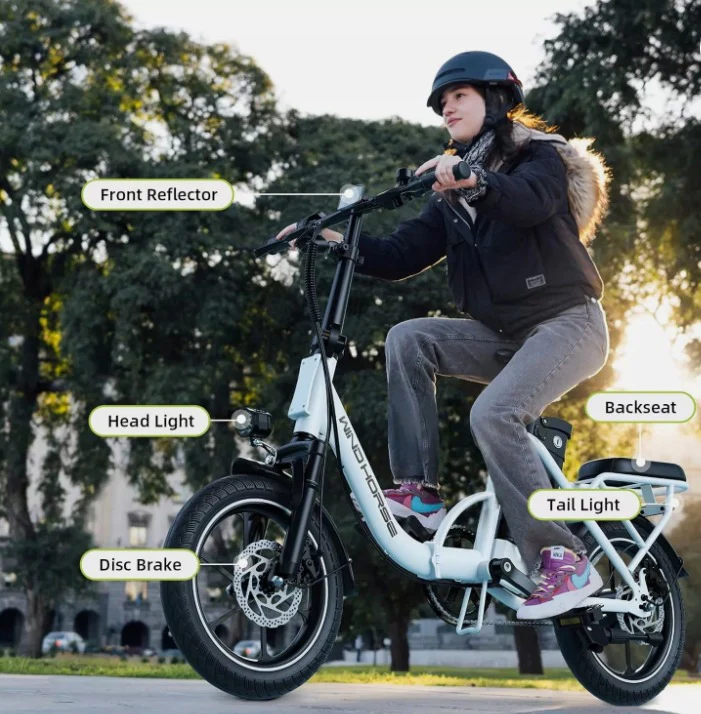 WINDHORSE W2B Electric Bike - Image 10