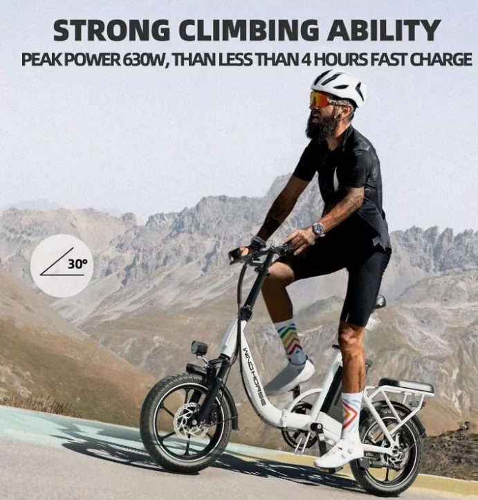 WINDHORSE W2B Electric Bike - Image 11