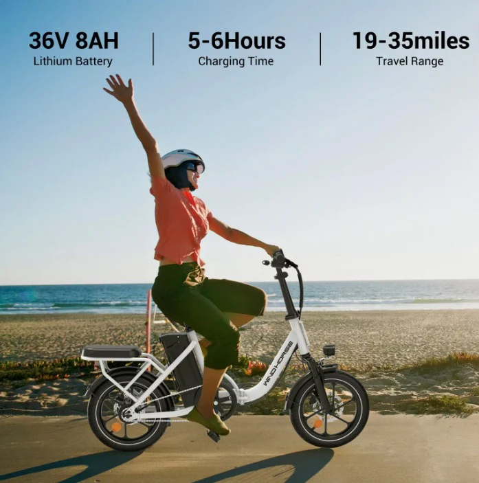 WINDHORSE W2B Electric Bike - Image 3