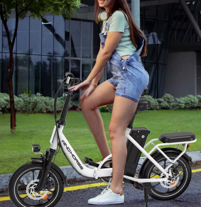 WINDHORSE W2B Electric Bike - Image 6