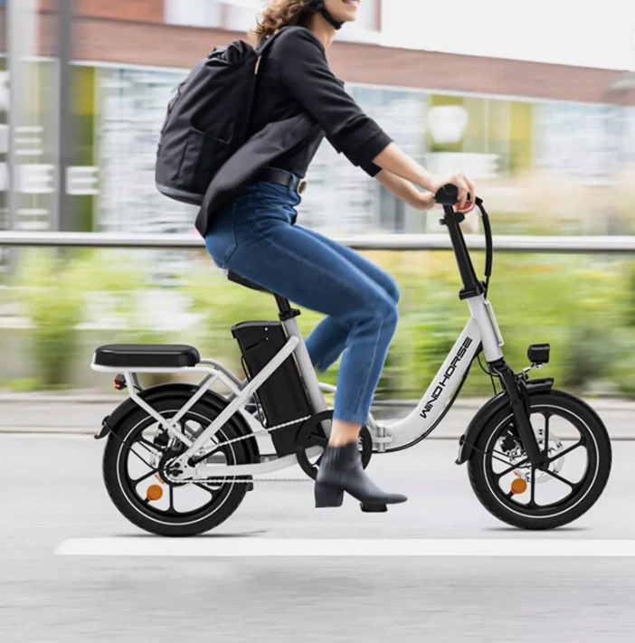WINDHORSE W2B Electric Bike - Image 8