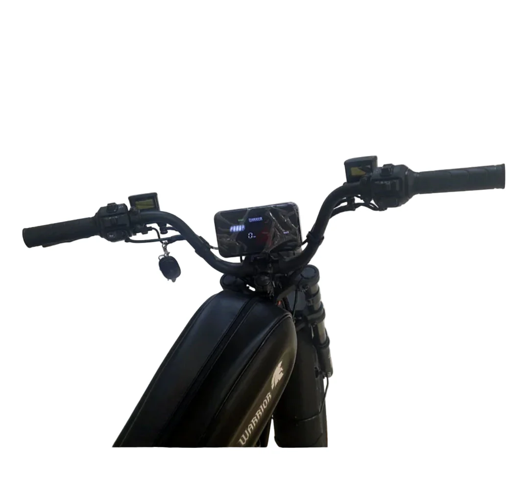 Worrier Retro Fat Electric bike 48V 15Ah 1500W - Image 2