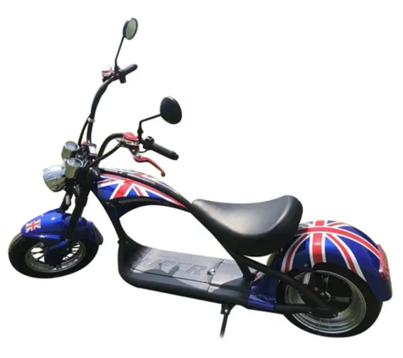 X1 Harley E bike Banner 60V 12Ah 3000W - Image 10